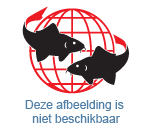Drijfplanten