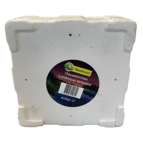 Dauwwormen in tempex bakje 12 st.