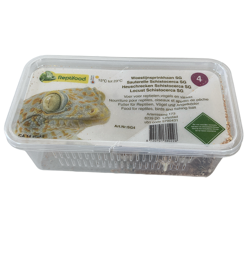 Woestijnsprinkhaan maat 4 in doosje