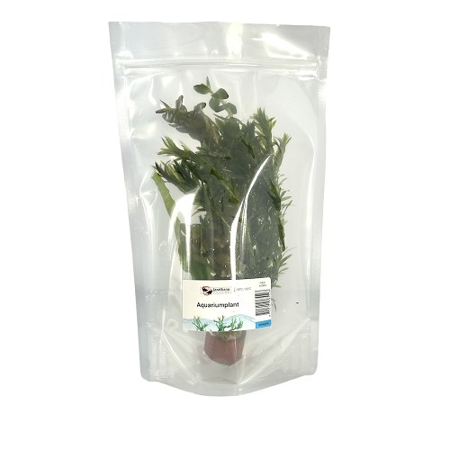 Goudviskombosjes gemengd in stazak