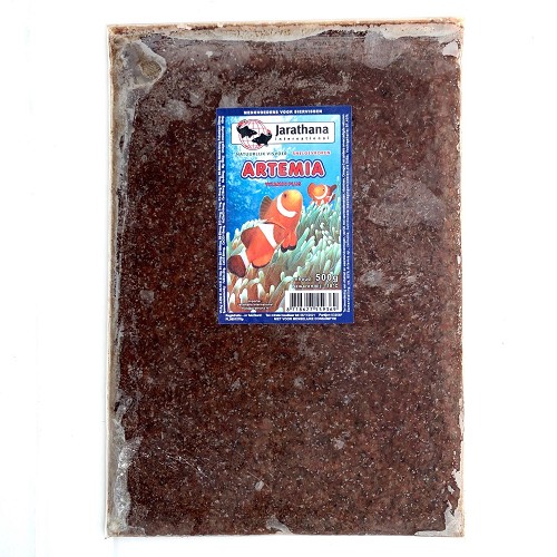 Artemia 500 gram dpvr