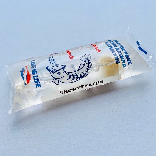 Enchytreeën in zakje 45 ml