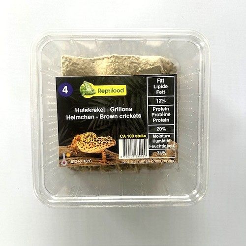 Huiskrekel maat 4 in doosje