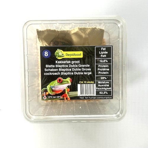 Kakkerlak BD volwassen in doosje