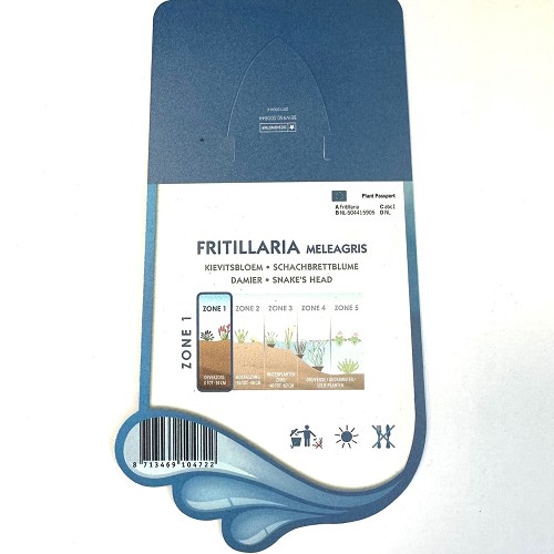 Fritillaria meleagris-Kievitsbloem