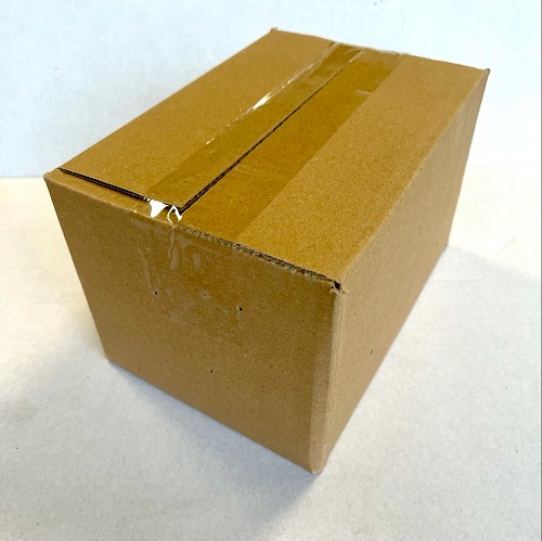 Sprinkhaan Locusta maat 7 bulk 100 st