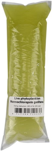 Phytoplankton 100 ml.