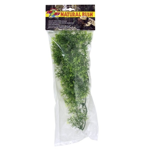 Small Australian Maple 36 cm