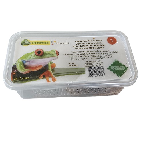 Kakkerlak Red Runner in doosje