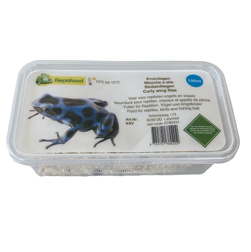 Krulvlieg in doosje.