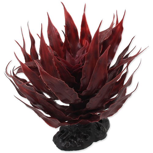 RP Plant sukulent Agave red 18cm @