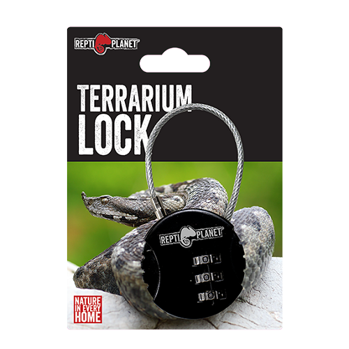 RP Code slot