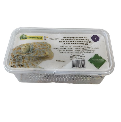 Woestijnsprinkhaan maat 7 in doosje