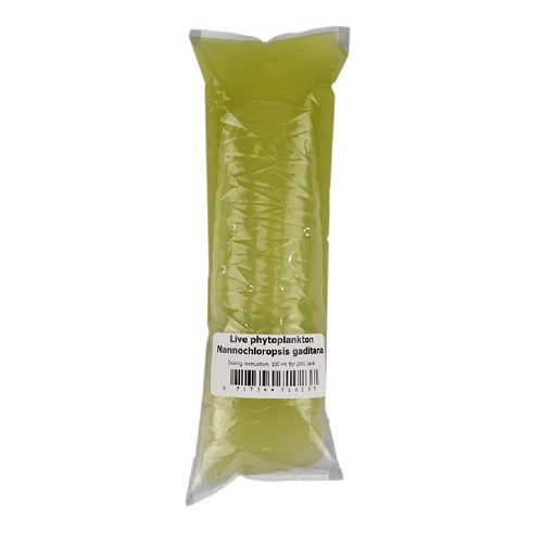 Phytoplankton 100 ml.