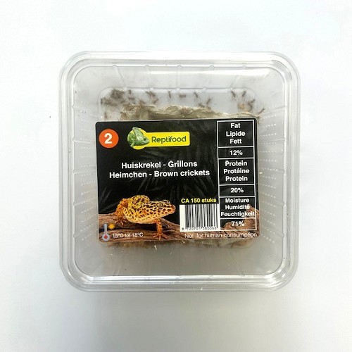 Huiskrekel maat 2 in doosje