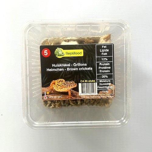 Huiskrekel maat 5 in doosje