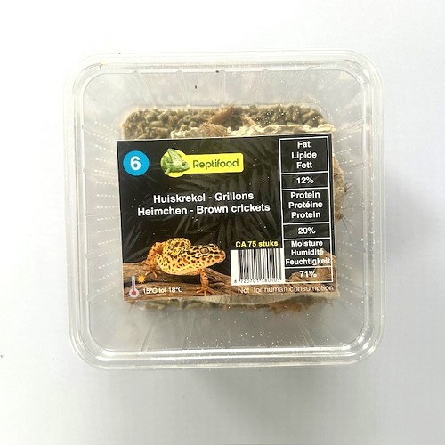Huiskrekel maat 6 in doosje