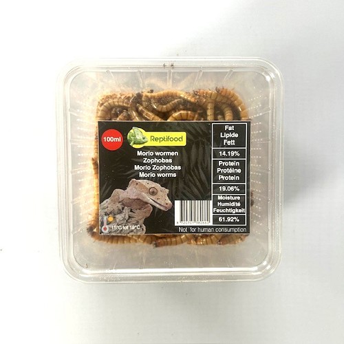 Moriowormen in doosje 100 ml.